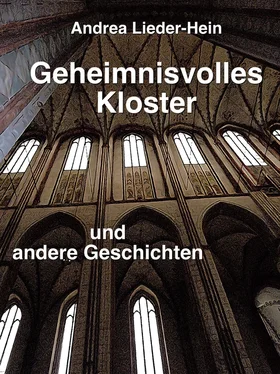 Andrea Lieder-Hein Geheimnisvolles Kloster обложка книги