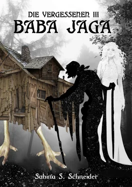 Sabina S. Schneider Die Vergessenen: Baba Jaga - Buch 3 обложка книги