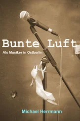 Michael Herrmann - Bunte Luft