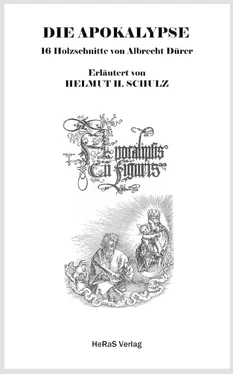 Helmut H. Schulz Die Apokalypse обложка книги