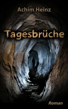 Achim Heinz Tagesbrüche обложка книги