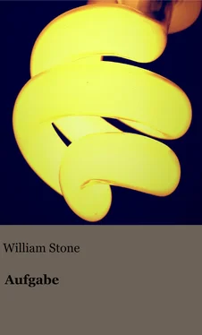 William Stone Aufgabe обложка книги