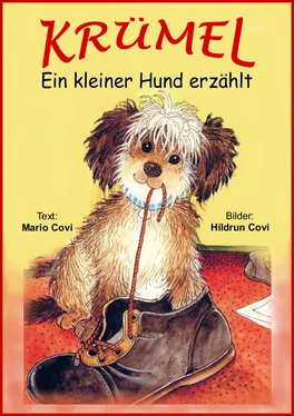 Mario Covi KRÜMEL - Ein kleiner Hund erzählt обложка книги