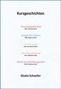 Gisela Schaefer Kurzgeschichten обложка книги