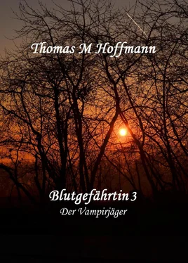 Thomas M Hoffmann Blutgefährtin 3 обложка книги