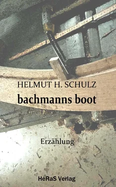 Helmut H. Schulz Bachmanns Boot обложка книги