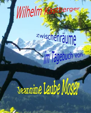 Wilhelm Kastberger Zwischenräume im Tagebuch von Jeannine Laube-Moser обложка книги
