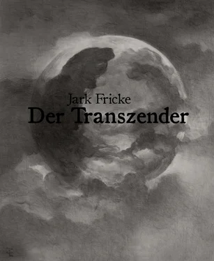 Jark Fricke Der Transzender обложка книги