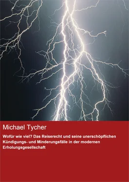 Michael Tycher Wofür wie viel? Das Reiserecht und seine unerschöpflichen Kündigungs- und Minderungsfälle in der modernen Erholungsgesellschaft обложка книги