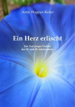 Antje Wagner-Kolar Ein Herz erlischt обложка книги