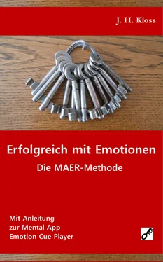 J. H. Kloss Erfolgreich mit Emotionen обложка книги