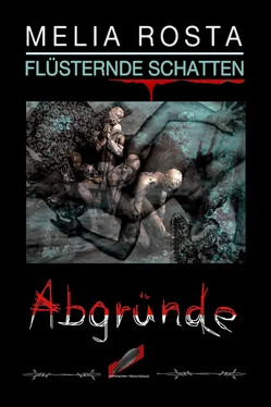 Melia Rosta Abgründe обложка книги