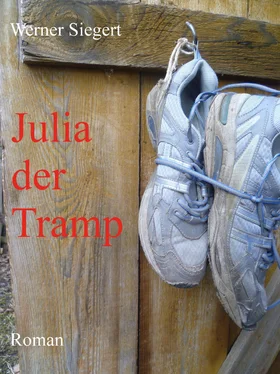 Werner Siegert Julia, der Tramp обложка книги