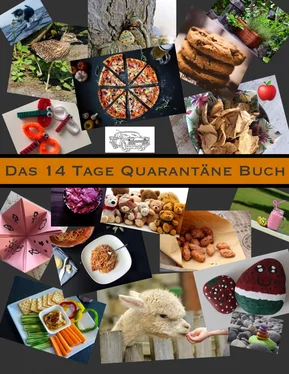 Janina Schmid Das 14 Tage Quarantäne Buch обложка книги