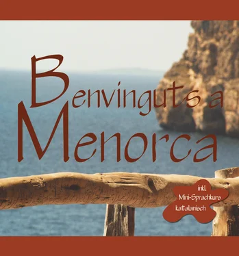 Thomas Meinen Menorca обложка книги