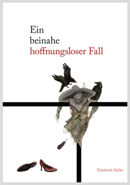 Elisabeth Hug Ein beinahe hoffnungsloser Fall обложка книги