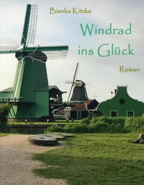 Bianka Kitzke Windrad ins Glück обложка книги