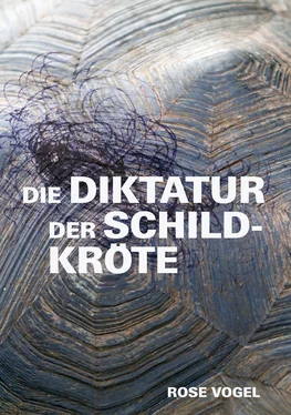 Rose Vogel Die Diktatur der Schildkröte обложка книги