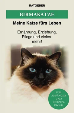 Meine Katze fürs Leben Ratgeber Birma Katze обложка книги