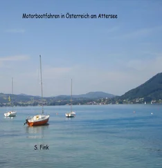 S. Fink - Motorbootfahren am Attersee