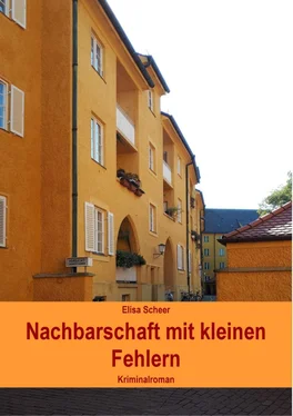 Elisa Scheer Nachbarschaft mit kleinen Fehlern обложка книги