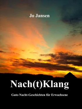 Jo Jansen Nach(t)Klang обложка книги