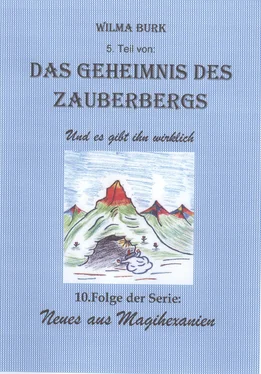 Wilma Burk Das Geheimnis des Zauberbergs 5. Teil обложка книги