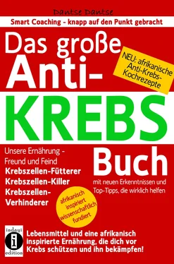 Dantse Dantse Das große ANTI-KREBS Buch:Lebensmittel und eine afrikanisch inspirierte Ernährung, die dich vor Krebs schützen und ihn bekämpfen! обложка книги