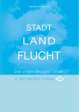 Renate Wullstein Stadt Land Flucht обложка книги