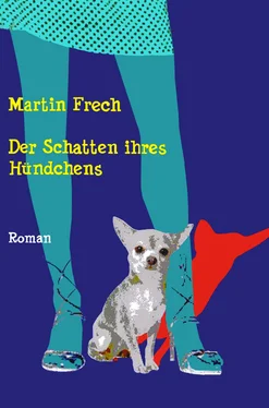 Martin Frech Der Schatten ihres Hündchens обложка книги