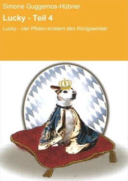 Simone Guggemos-Hübner Lucky - Teil 4 обложка книги