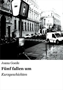 Joana Goede Fünf fallen um обложка книги