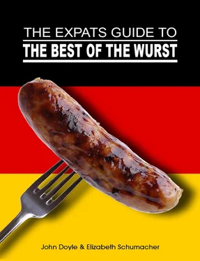 John Doyle The Ex-Pat's Guide to the Best of the Wurst обложка книги