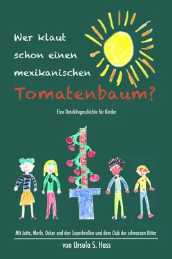 Ursula Hass Wer klaut schon einen mexikanischen Tomatenbaum? обложка книги