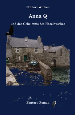 Norbert Wibben Anna Q und das Geheimnis des Haselbusches обложка книги