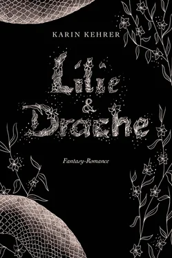 Karin Kehrer Lilie und Drache обложка книги