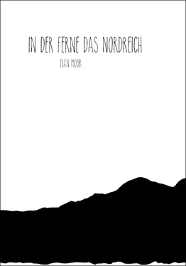 Elan Moor In der Ferne das Nordreich обложка книги