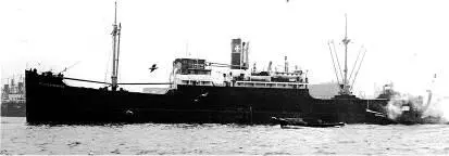 MS WILHELM BORNHOFEN Das Schiff war ein alter Vorkriegsbau aus dem Jahr 1925 - фото 32