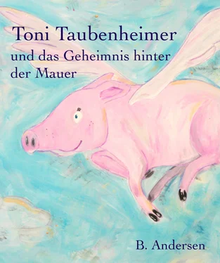 B. Andersen Toni Taubenheimer обложка книги