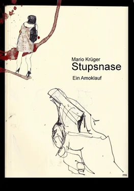 Mario Krüger Stupsnase обложка книги