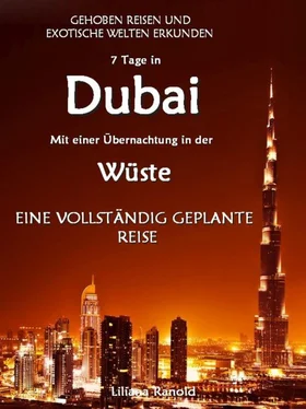 Liliana Ranold DUBAI: Dubai mit einer Übernachtung in der Wüste – eine vollständig geplante Reise! DER NEUE DUBAI REISEFÜHRER 2017 обложка книги