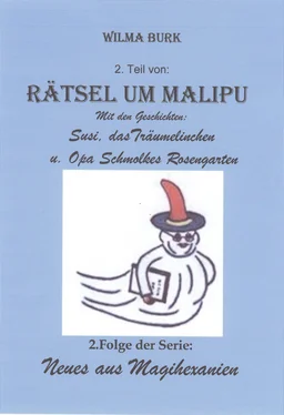 Wilma Burk Rätsel um Malipu 2. Teil обложка книги