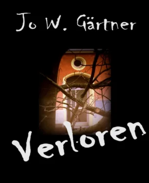 Jo W. Gärtner Verloren обложка книги