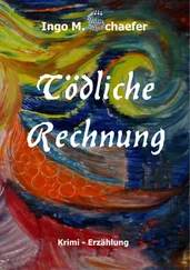 Ingo M. Schaefer - Tödliche Rechnung