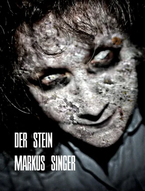 Markus Singer Der Stein обложка книги