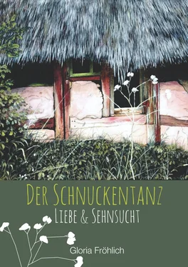 Gloria Fröhlich DER SCHNUCKENTANZ обложка книги