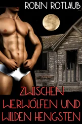 Robin Rotlaub - Zwischen Werwölfen und wilden Hengsten