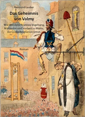 Raimund Lauber Das Geheimnis von Valmy обложка книги