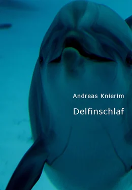 Andreas Knierim Delfinschlaf обложка книги