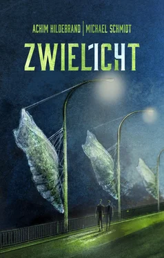 Achim Hildebrand Zwielicht 14 обложка книги